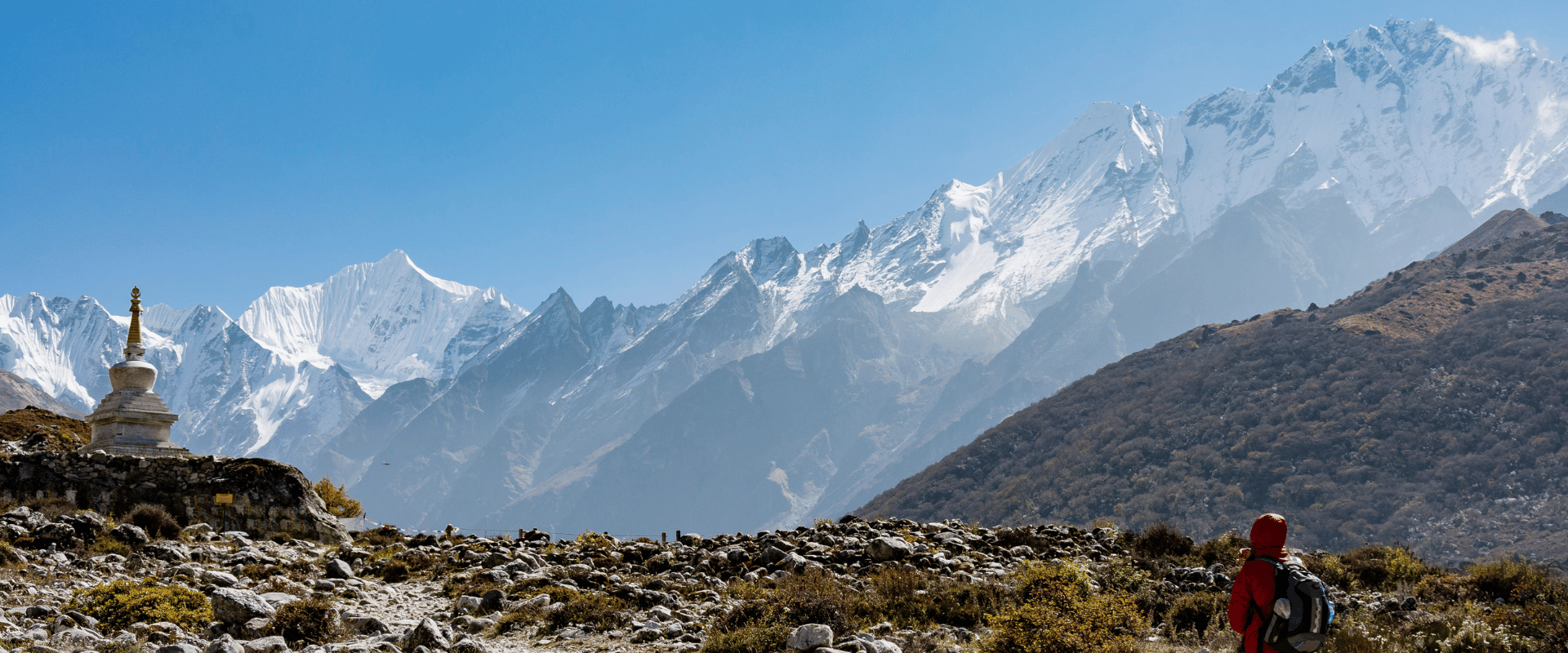 Beautiful Langtang Valley trail with rhododendron forests and towering Himalayan peaks in the background.